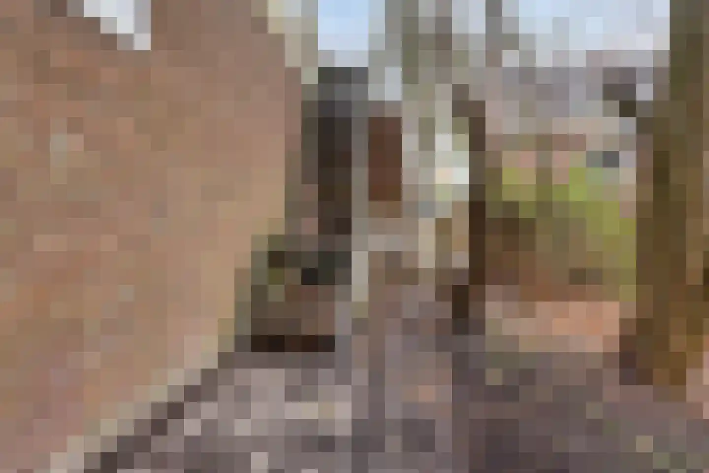 H.F.Dresselhuisstraat 6 Bad Nieuweschans thumbnail 49