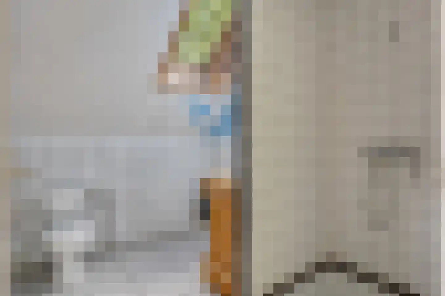H.F.Dresselhuisstraat 6 Bad Nieuweschans thumbnail 55