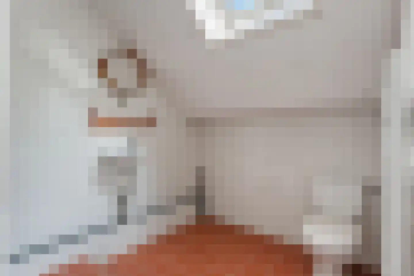 H.F.Dresselhuisstraat 6 Bad Nieuweschans thumbnail 60