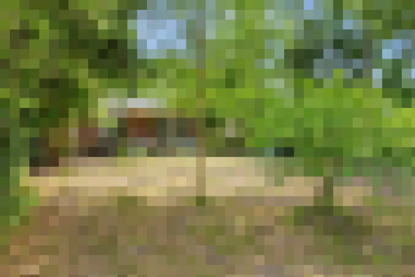 H.F.Dresselhuisstraat 6 Bad Nieuweschans thumbnail 64