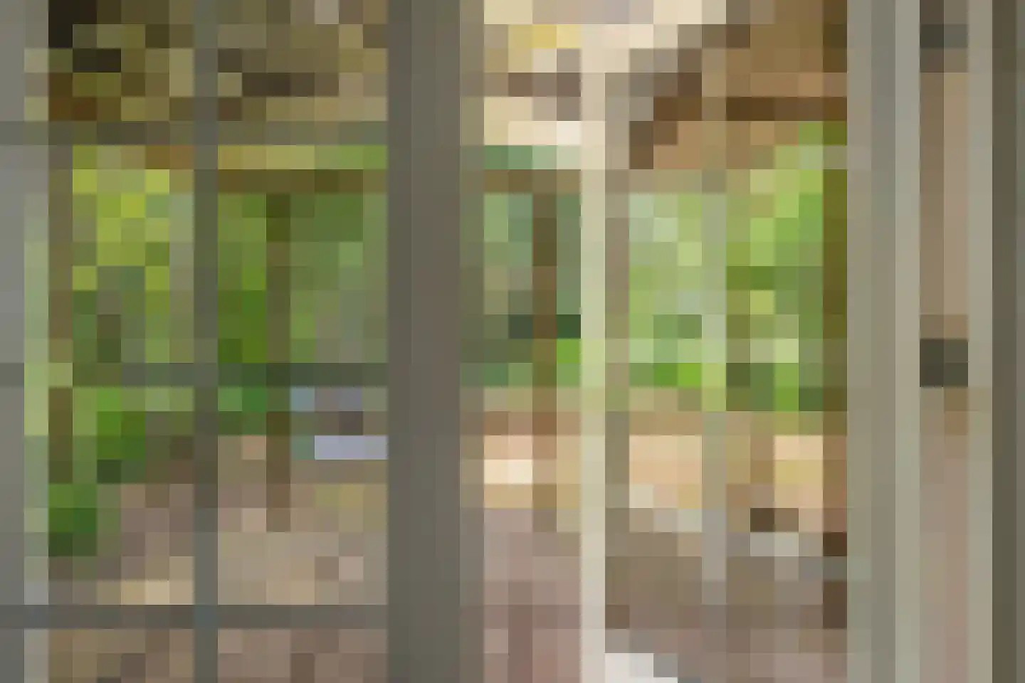 H.F.Dresselhuisstraat 6 Bad Nieuweschans thumbnail 66