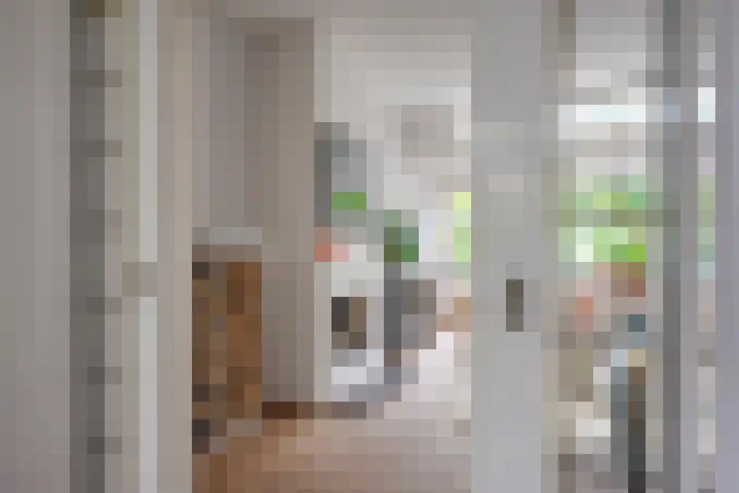 H.F. van Riellaan 3 Utrecht thumbnail 14
