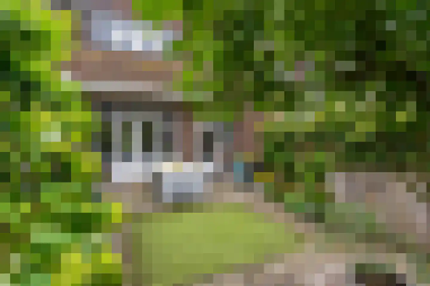 H.F. van Riellaan 3 Utrecht thumbnail 31
