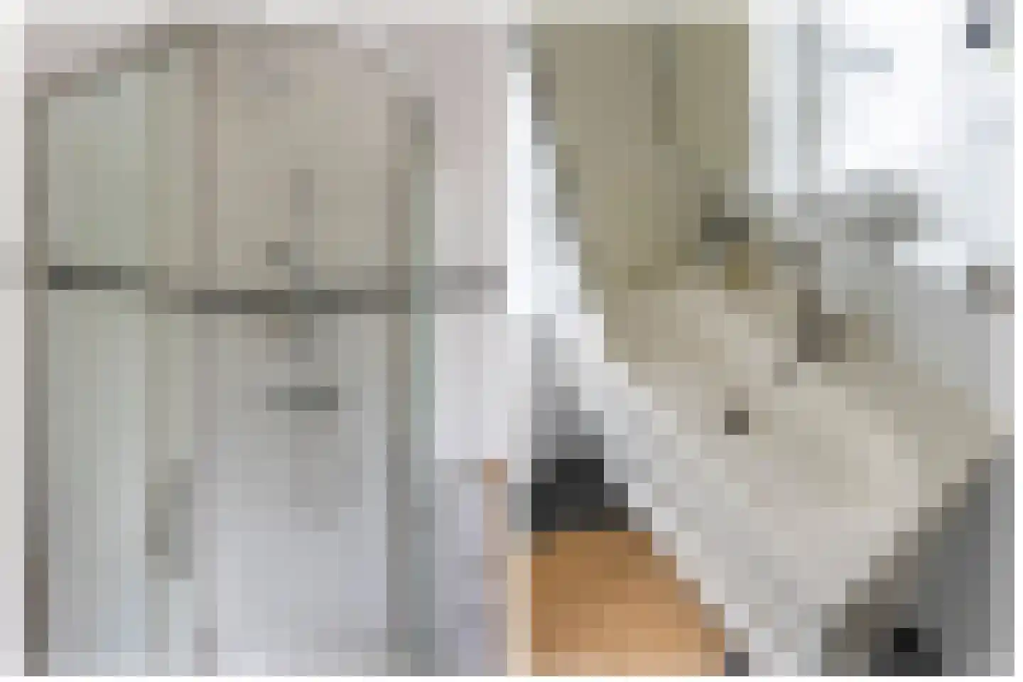 H.F. van Riellaan 3 Utrecht thumbnail 50