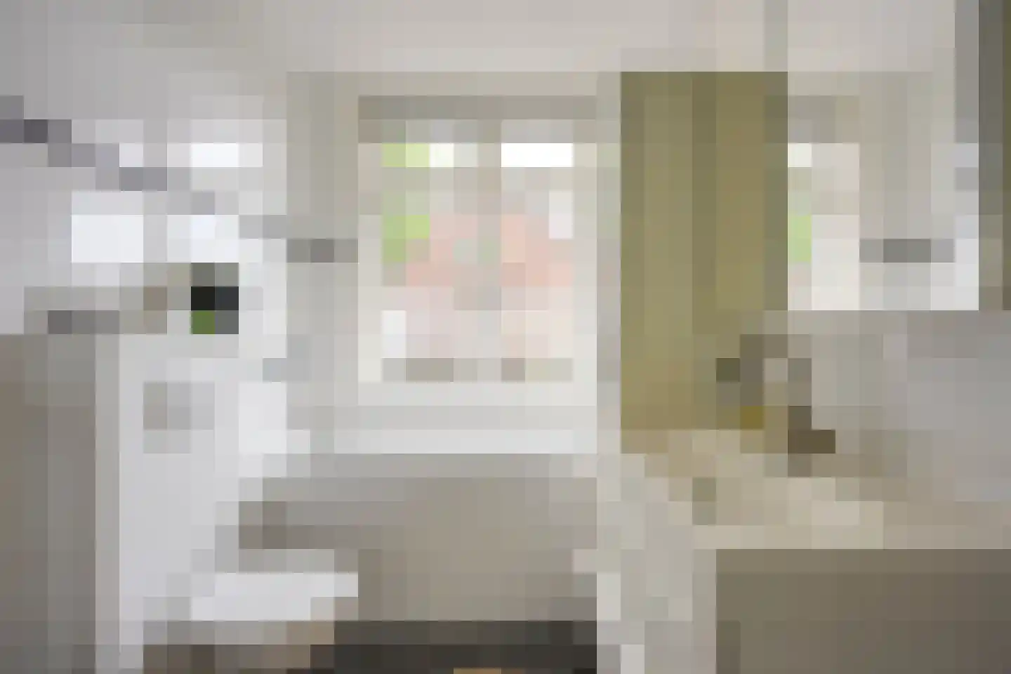 H.F. van Riellaan 3 Utrecht thumbnail 52