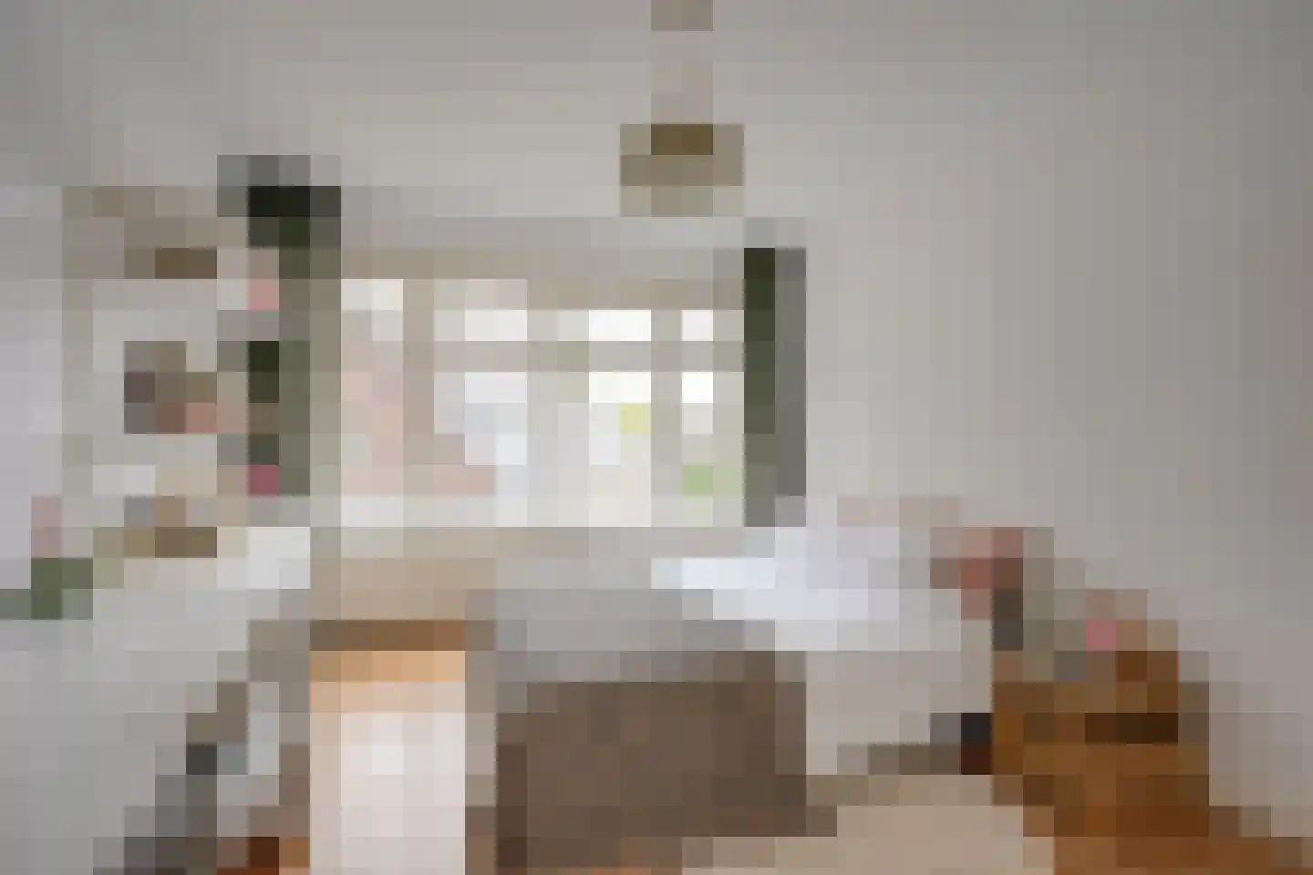 H.F. van Riellaan 3 Utrecht thumbnail 61