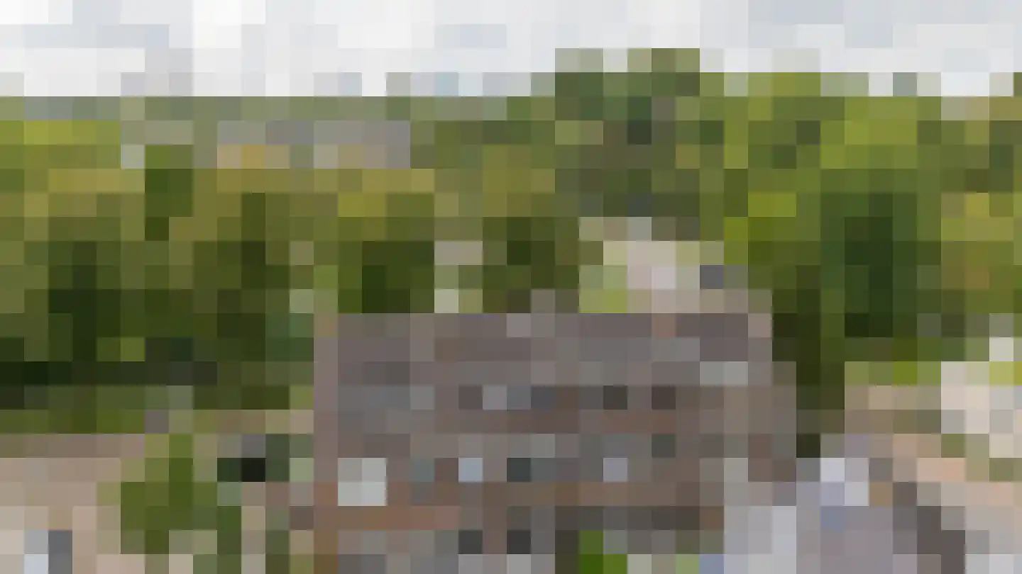 H.F. van Riellaan 3 Utrecht thumbnail 69
