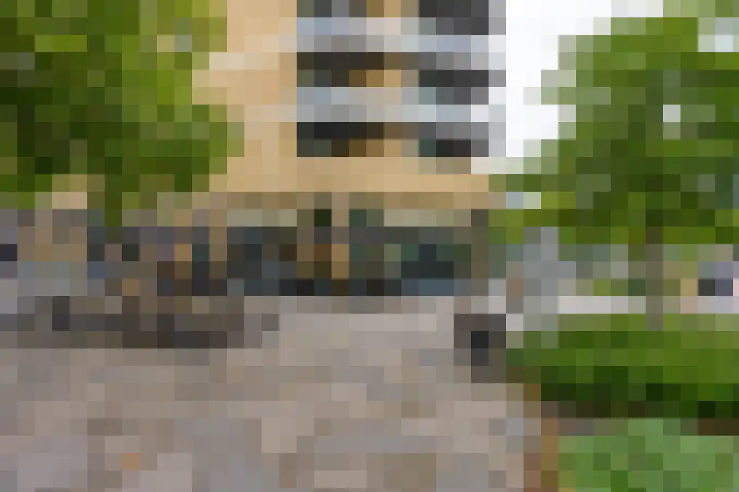 H.F. van Riellaan 3 Utrecht thumbnail 70