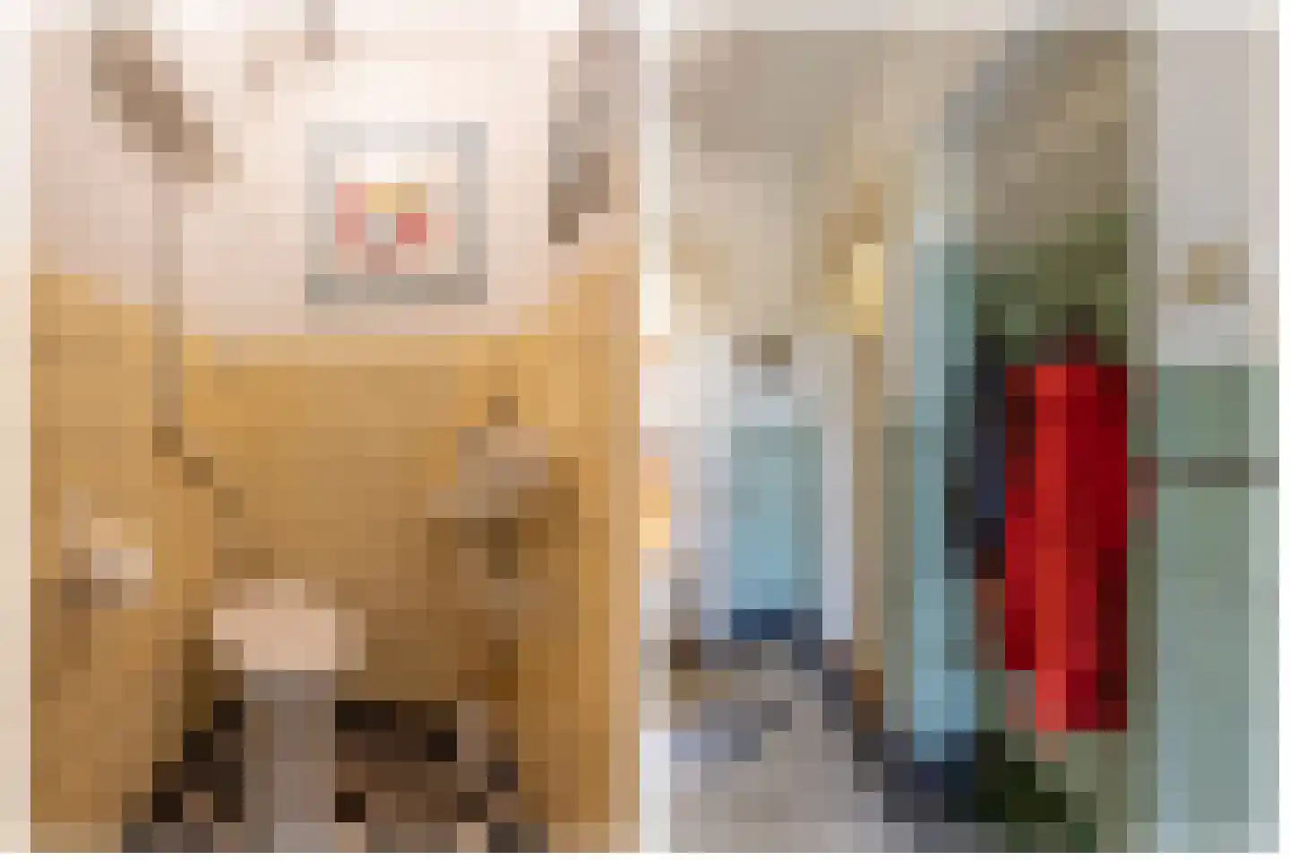 H.F. van Riellaan 7 Utrecht thumbnail 19
