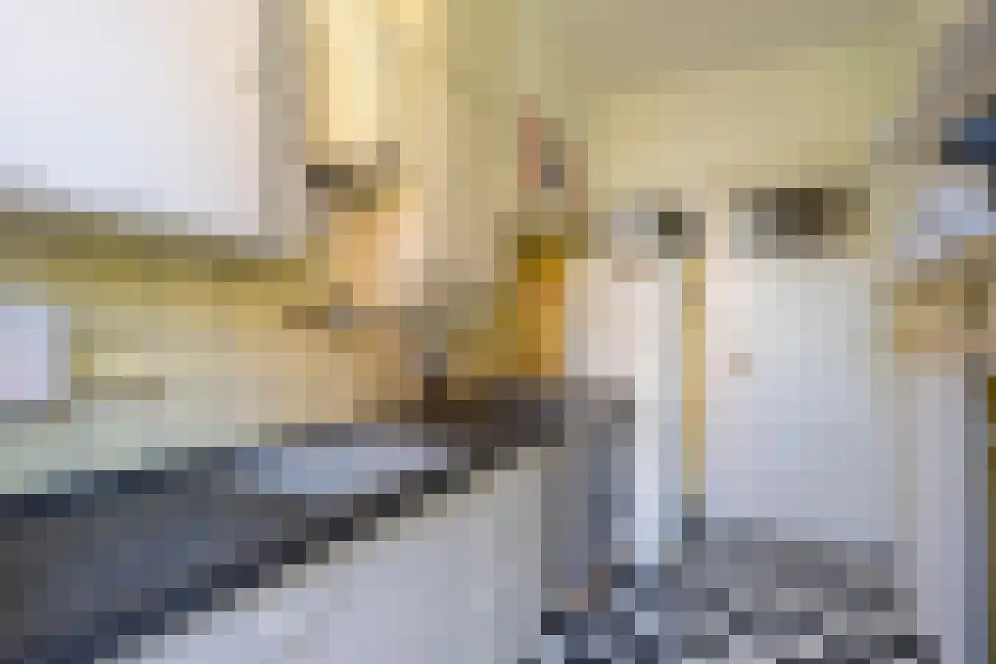 H.F. van Riellaan 7 Utrecht thumbnail 32