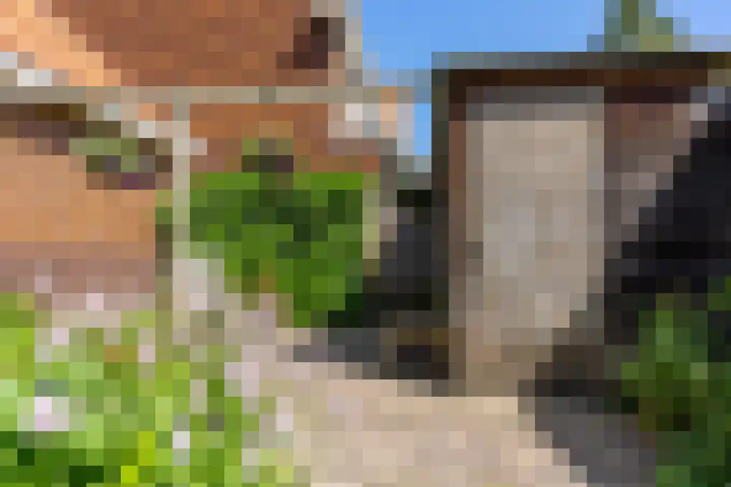 H.F. van Riellaan 7 Utrecht thumbnail 39