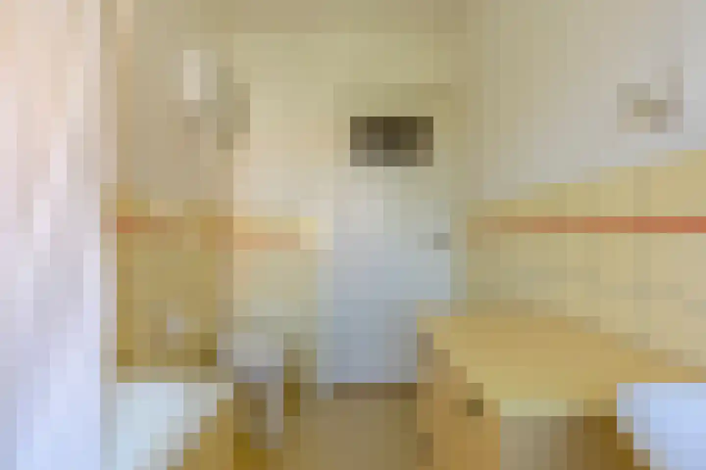 H.F. van Riellaan 7 Utrecht thumbnail 54