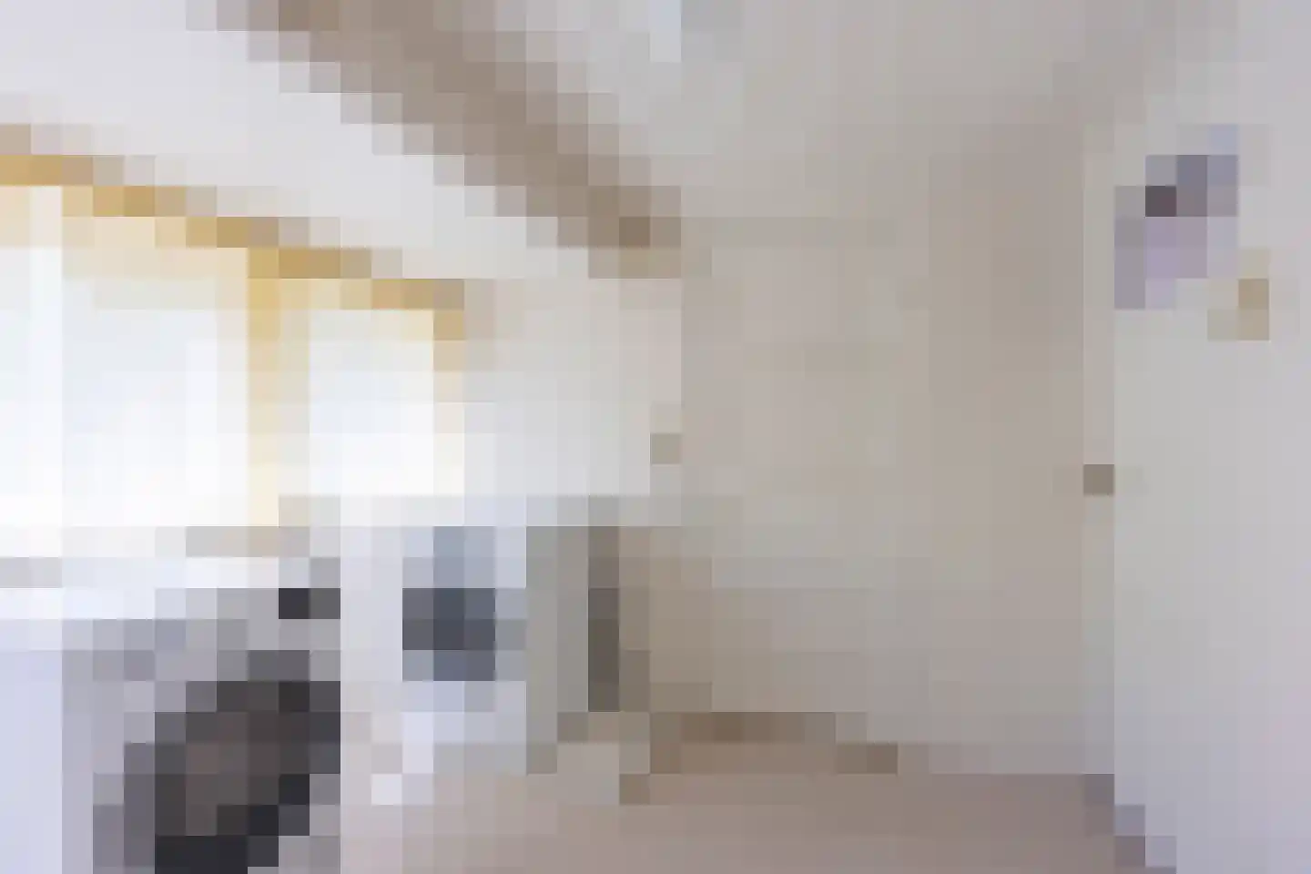 H.F. van Riellaan 7 Utrecht thumbnail 60