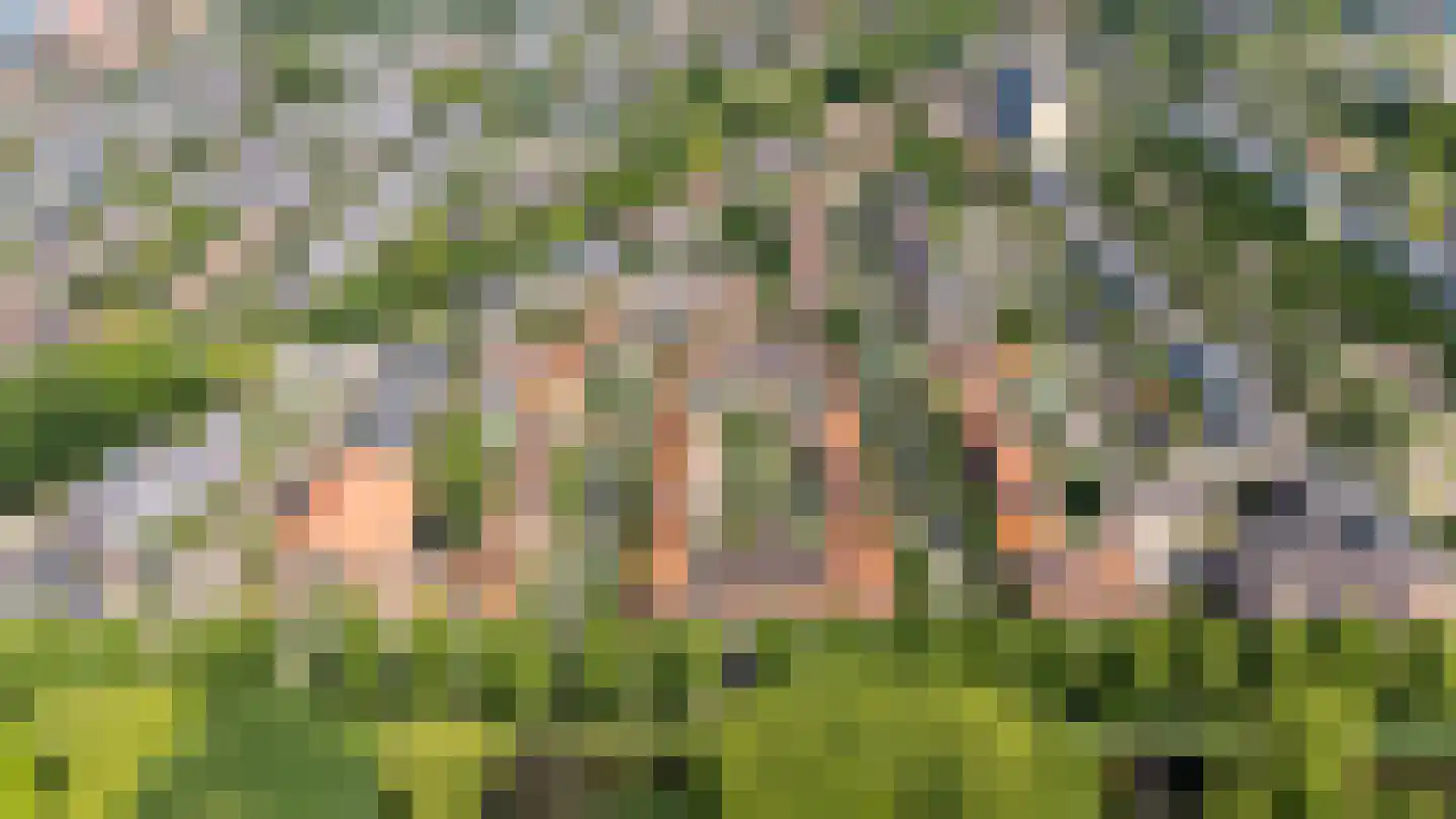 H.F. van Riellaan 7 Utrecht thumbnail 68