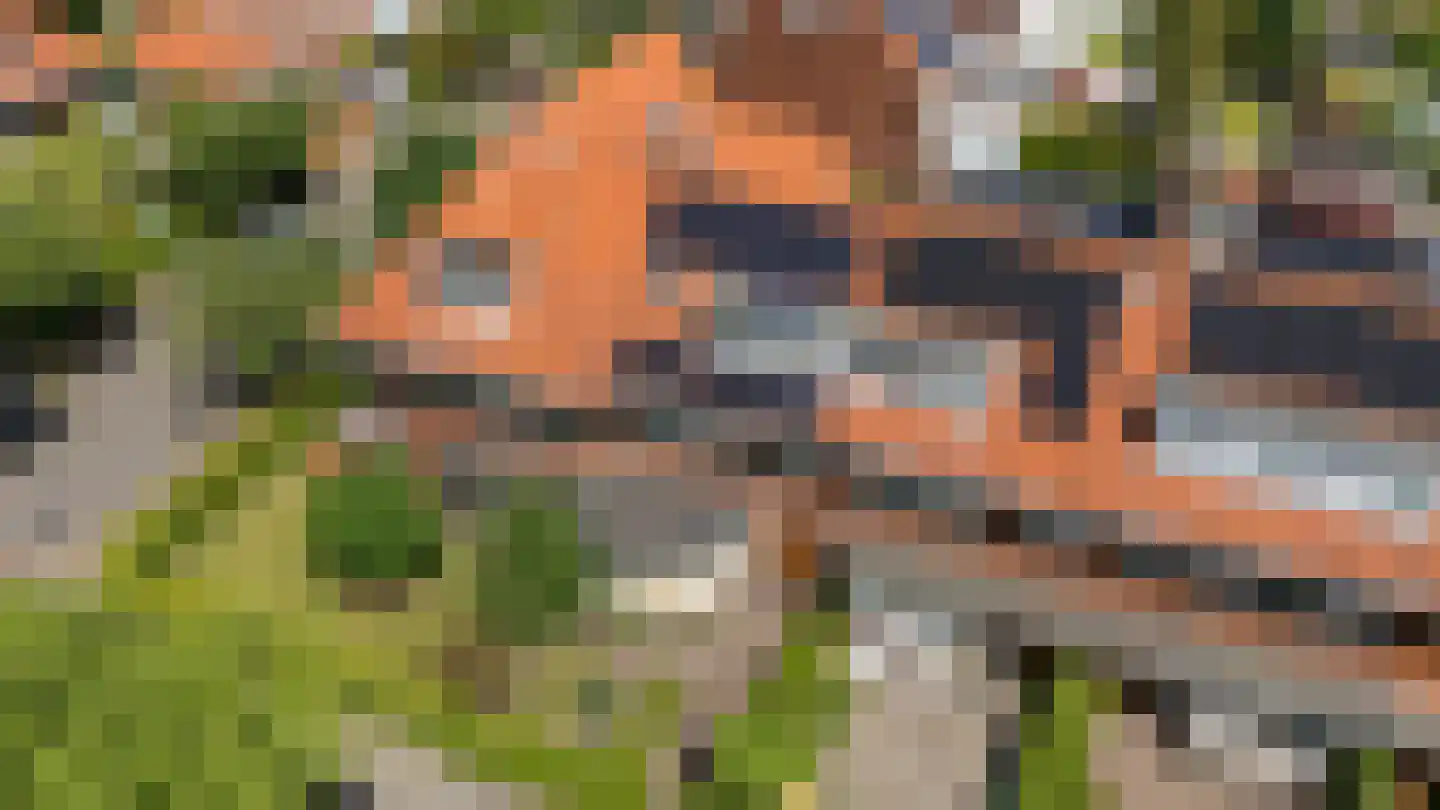H.F. van Riellaan 7 Utrecht thumbnail 7