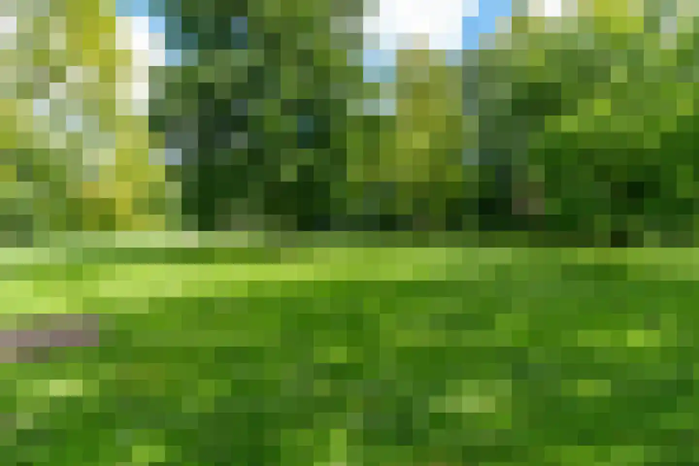 H.F. van Riellaan 7 Utrecht thumbnail 72