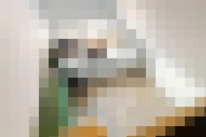 H.F. Wakemanstraat 16 Veenendaal thumbnail 33