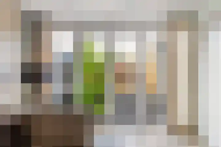 H.F. Wakemanstraat 16 Veenendaal thumbnail 6