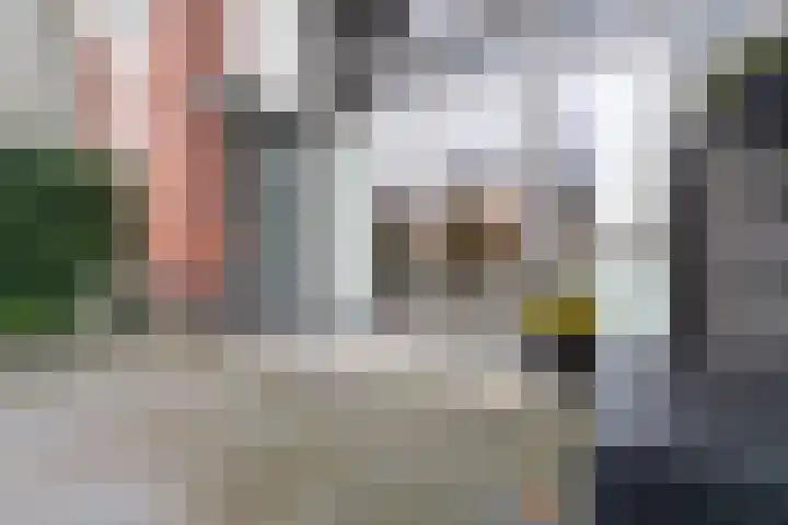 H.F. Wakemanstraat 4 Veenendaal thumbnail 19