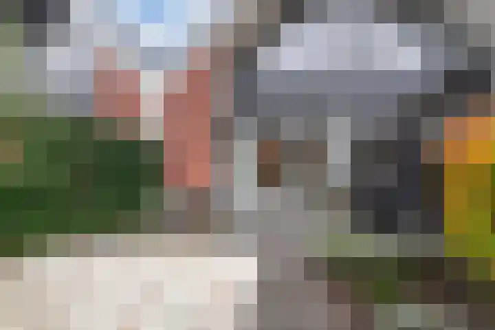 H.F. Wakemanstraat 4 Veenendaal thumbnail 21
