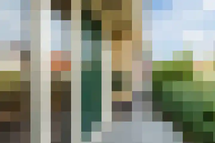 H.G.D. Cramerstraat 2 Wapenveld thumbnail 51