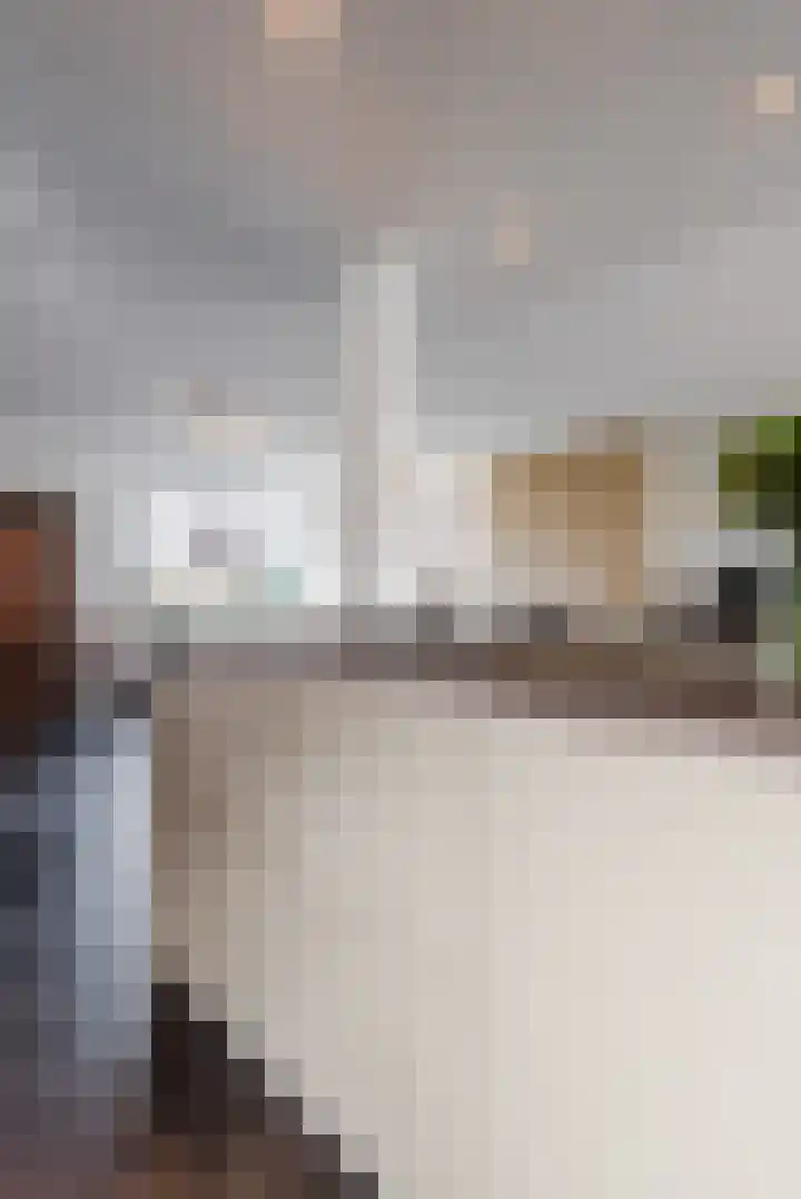 H.G.D. Cramerstraat 2 Wapenveld thumbnail 8