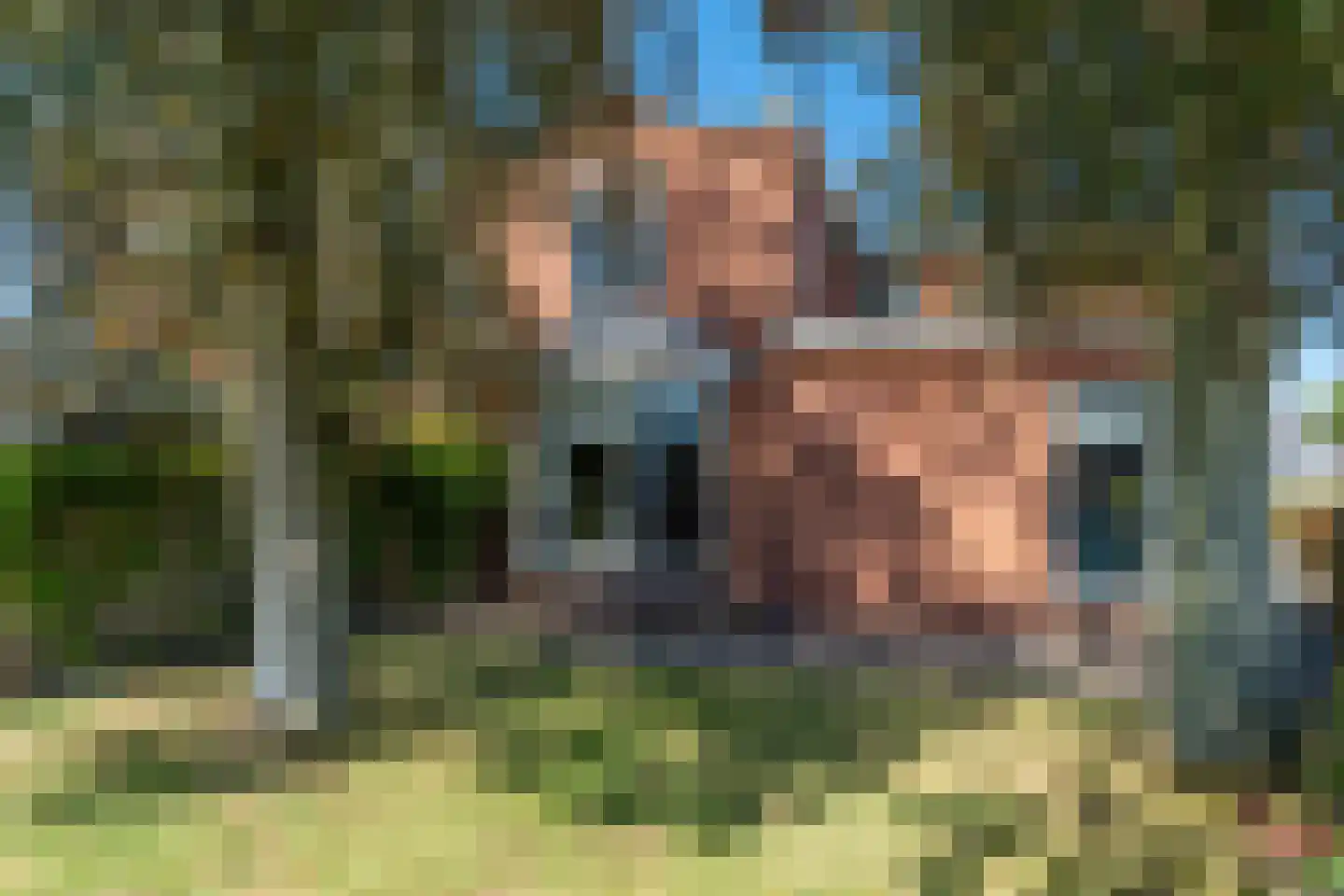 H.G. van der Veenstrjitte 2 Driezum thumbnail 4