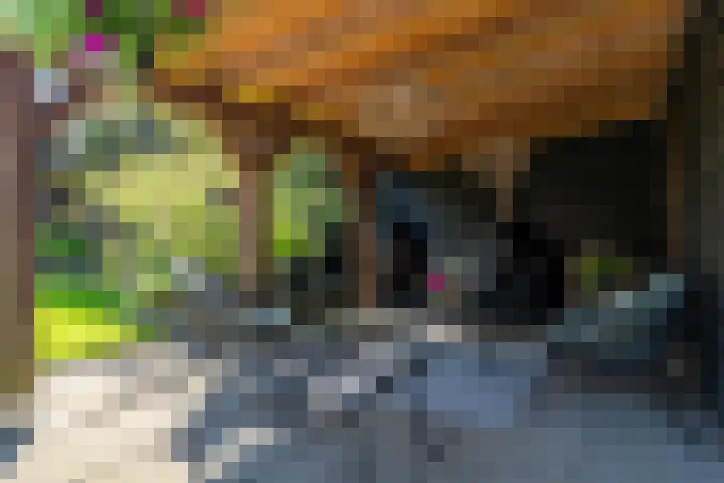 H.G. van der Veenstrjitte 2 Driezum thumbnail 5