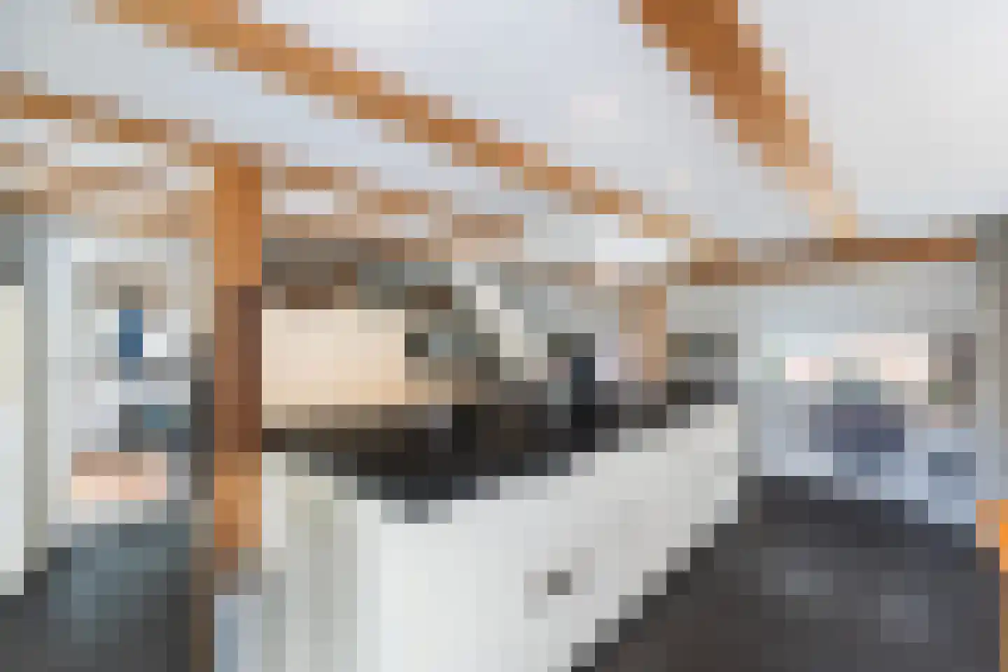 H.G. van der Veenstrjitte 8 Driezum thumbnail 15