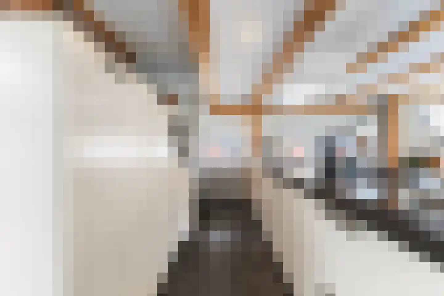 H.G. van der Veenstrjitte 8 Driezum thumbnail 16