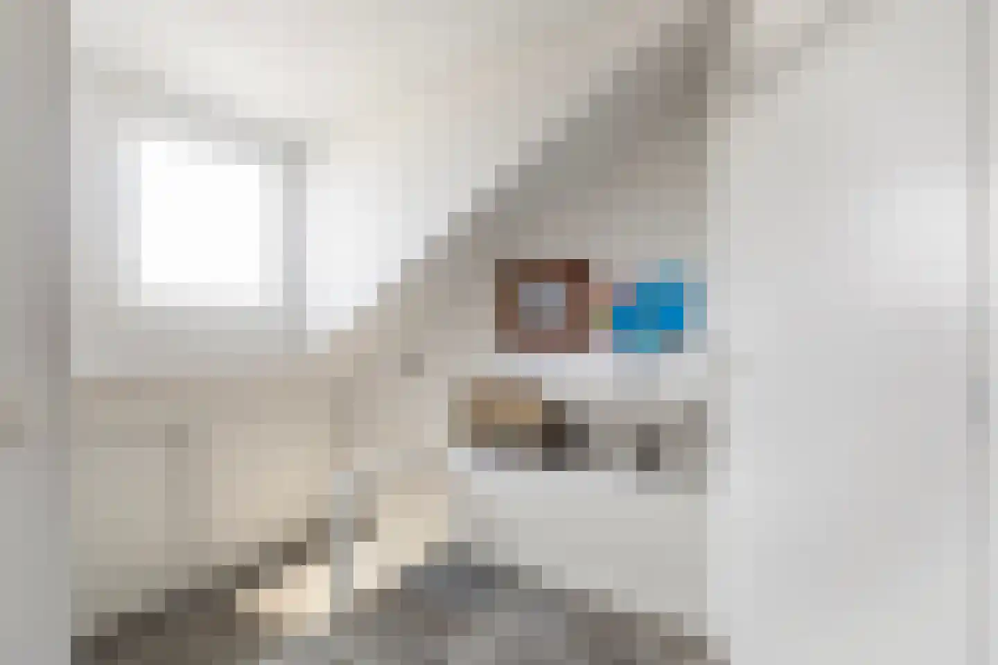 H.G. van der Veenstrjitte 8 Driezum thumbnail 30