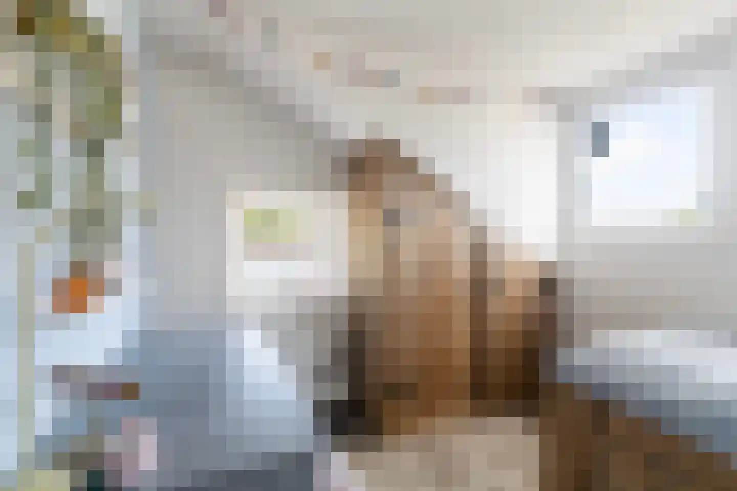 H.G. van der Veenstrjitte 8 Driezum thumbnail 32
