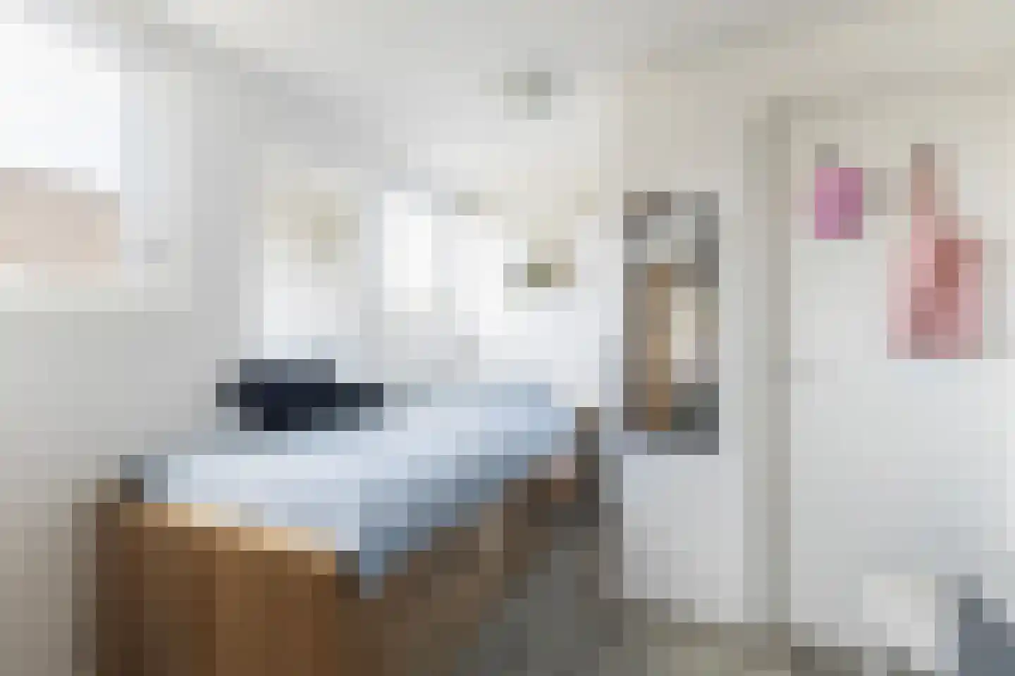 H.G. van der Veenstrjitte 8 Driezum thumbnail 33
