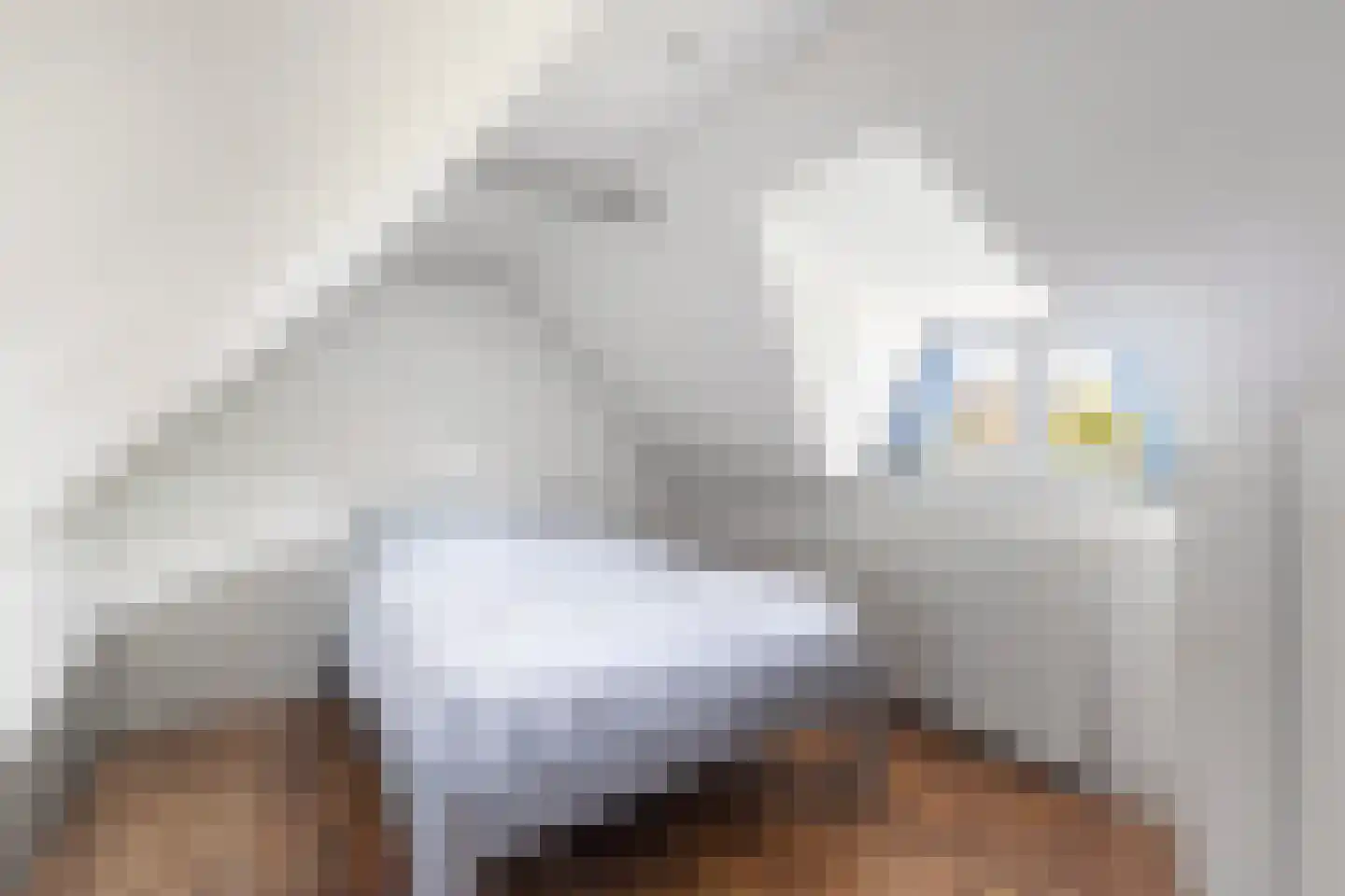 H.G. van der Veenstrjitte 8 Driezum thumbnail 34