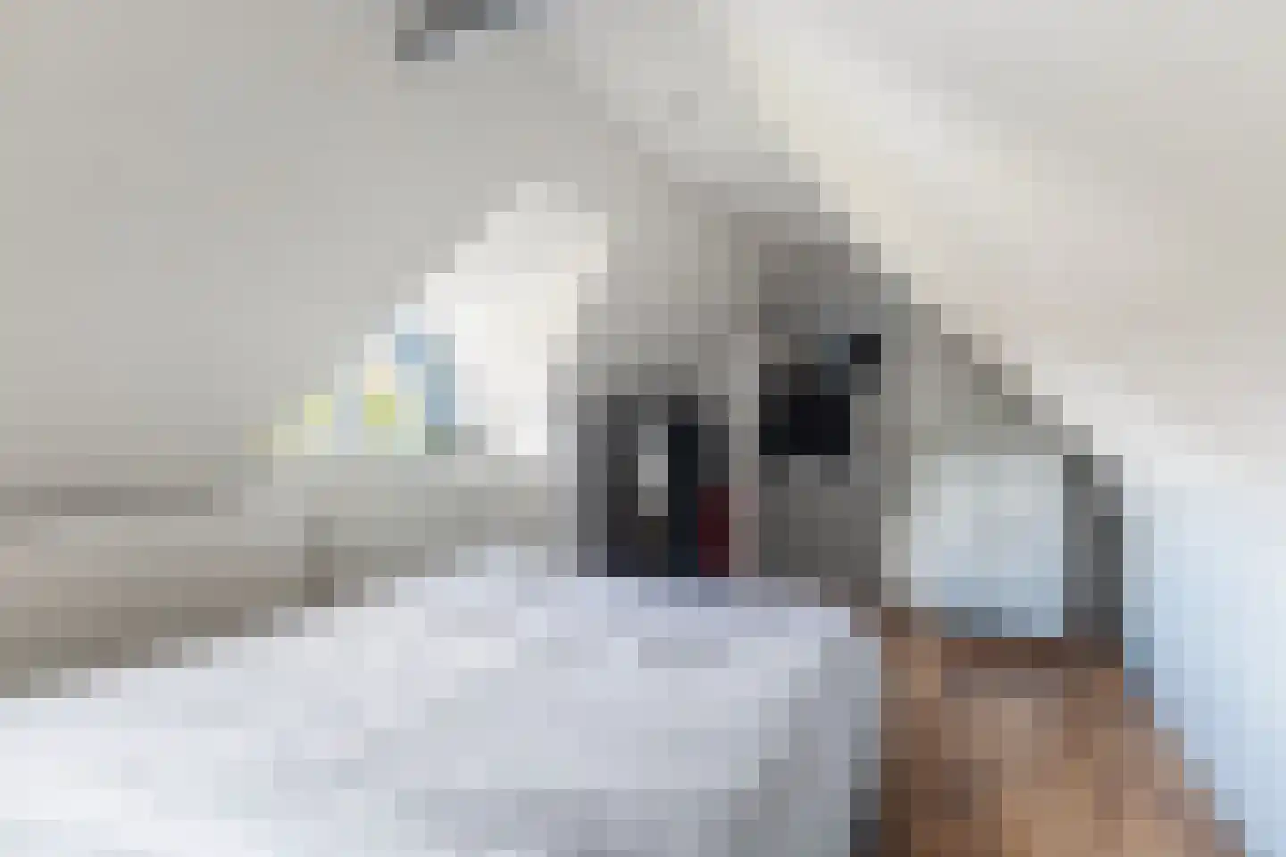 H.G. van der Veenstrjitte 8 Driezum thumbnail 35