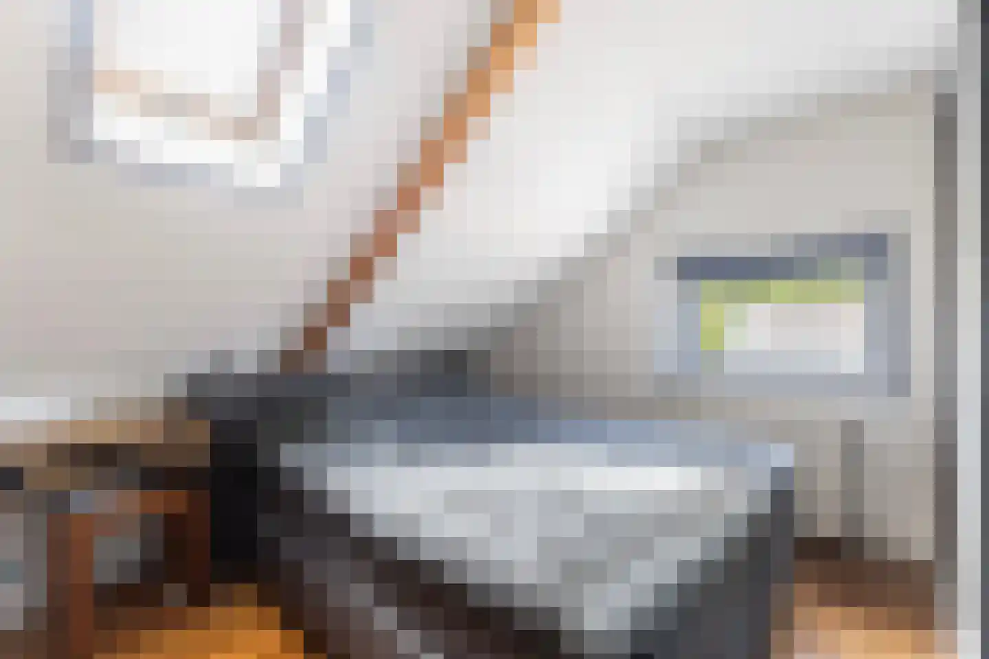 H.G. van der Veenstrjitte 8 Driezum thumbnail 36