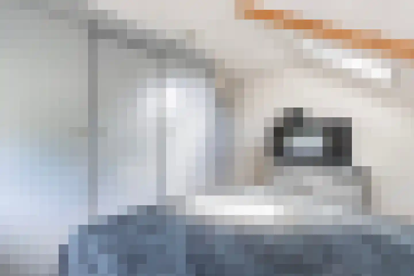 H.G. van der Veenstrjitte 8 Driezum thumbnail 37