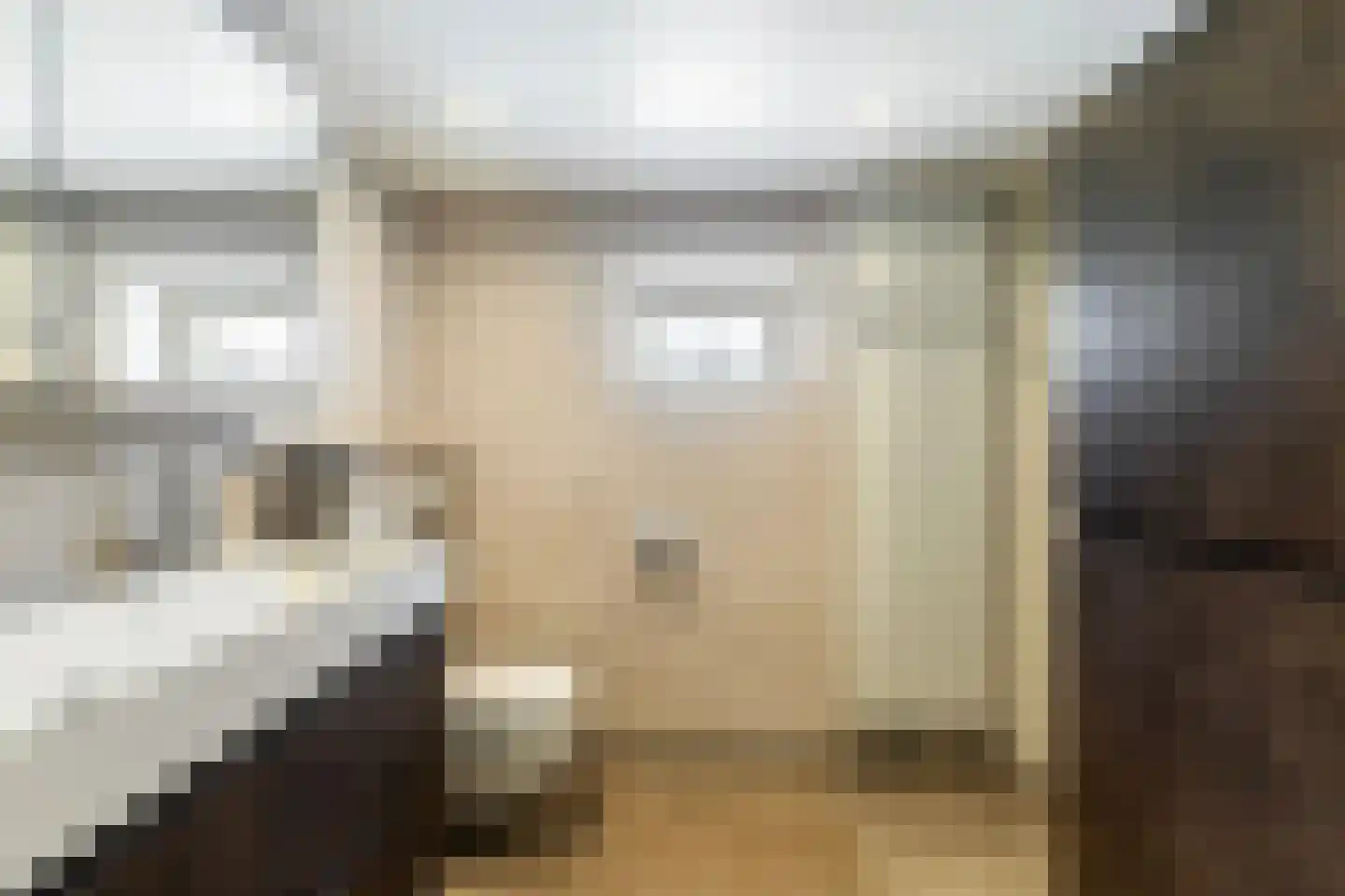 H.G. van der Veenstrjitte 8 Driezum thumbnail 4