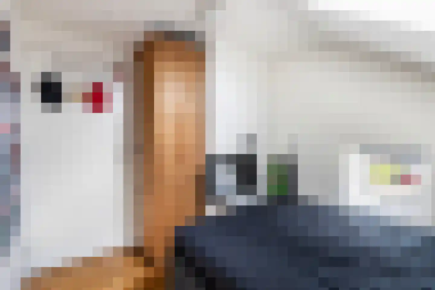 H.G. van der Veenstrjitte 8 Driezum thumbnail 45