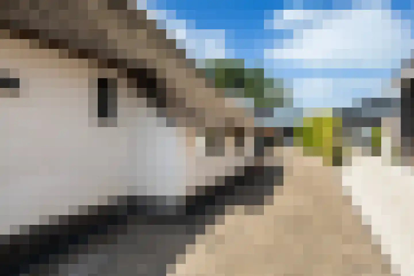 H.G. van der Veenstrjitte 8 Driezum thumbnail 9