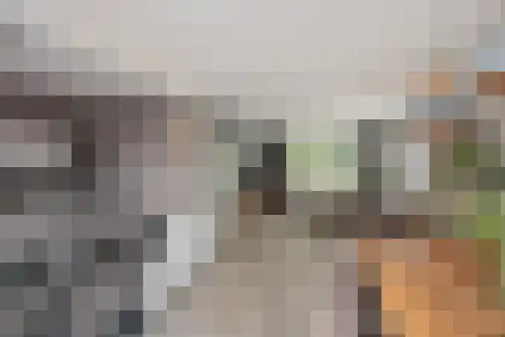 H. Gerhardlaan 1 Rijswijk thumbnail 12