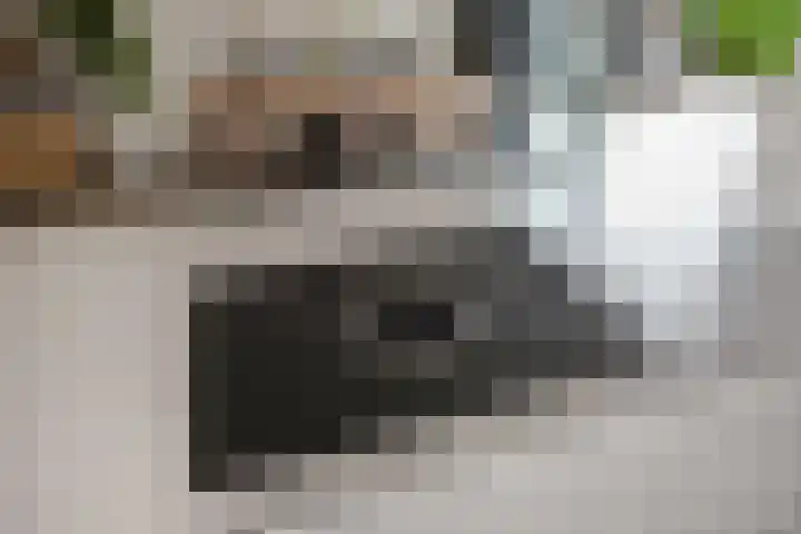 H. Gerhardlaan 1 Rijswijk thumbnail 16