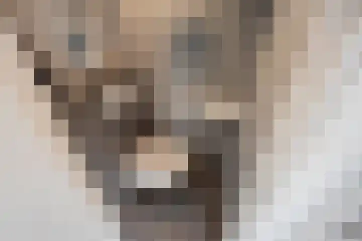 H. Gerhardlaan 1 Rijswijk thumbnail 27