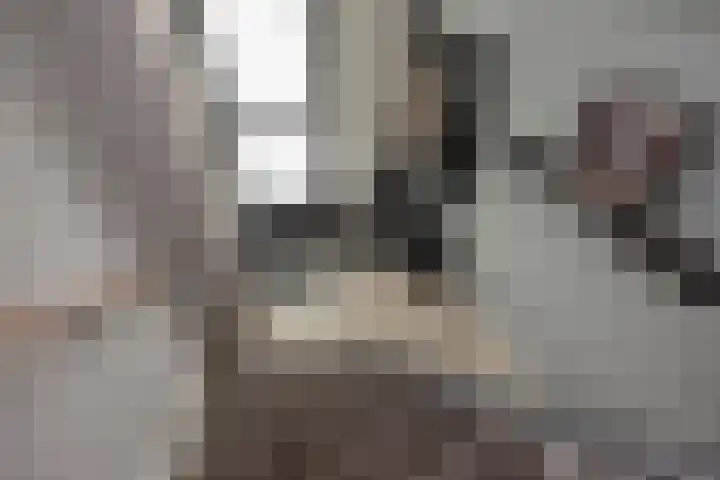 H. Gerhardlaan 1 Rijswijk thumbnail 28
