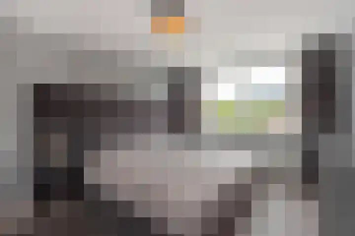 H. Gerhardlaan 1 Rijswijk thumbnail 29