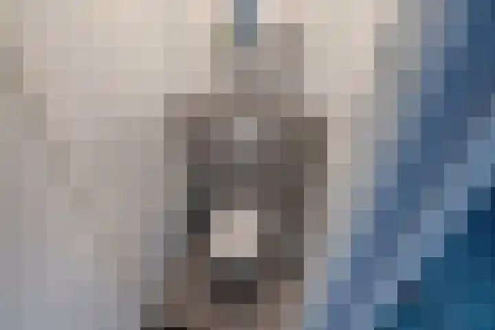 H. Gerhardlaan 1 Rijswijk thumbnail 38