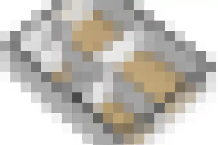 H. Gerhardlaan 1 Rijswijk thumbnail 44
