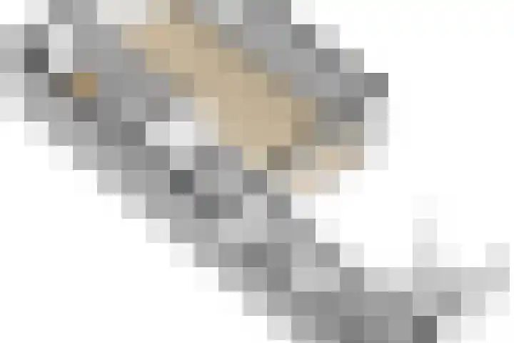 H. Gerhardlaan 1 Rijswijk thumbnail 48