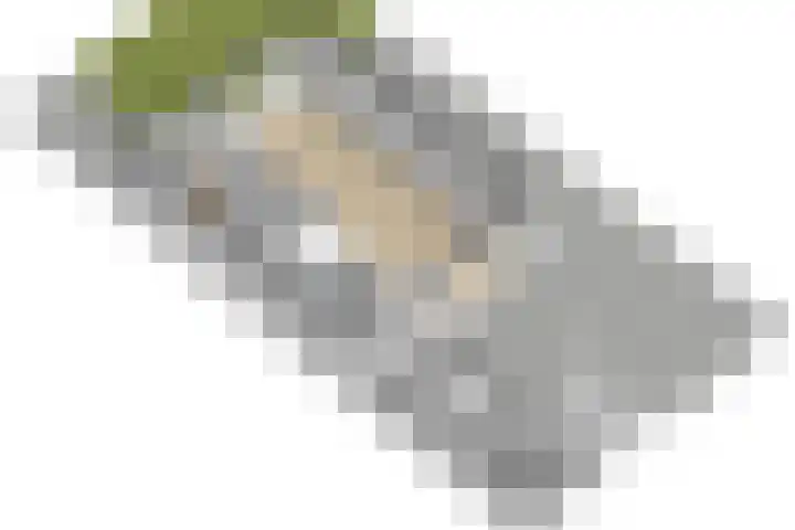 H. Gerhardlaan 1 Rijswijk thumbnail 50