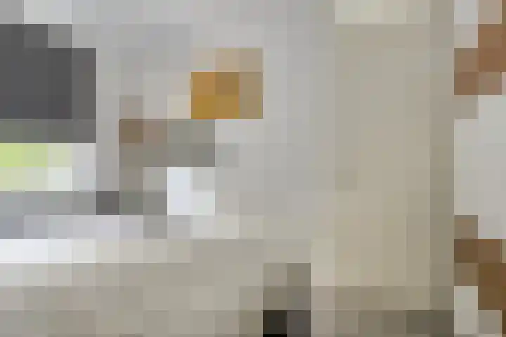 H. Gerhardstraat 112 Amsterdam thumbnail 31